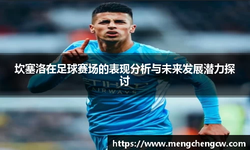 坎塞洛在足球赛场的表现分析与未来发展潜力探讨