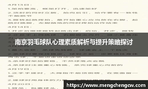 南京羽毛球队心理素质解析与提升策略探讨