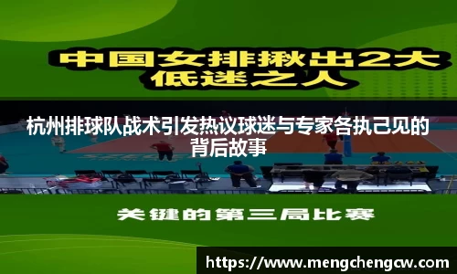 杭州排球队战术引发热议球迷与专家各执己见的背后故事